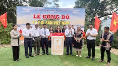 Tộc người Xơ Đăng trên dãy Trường Sơn vinh danh Cây Di sản Việt Nam vào ngày lễ cúng thần rừng
