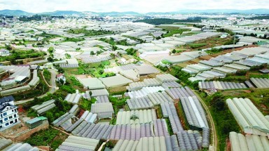 Ứng xử đúng mực với thiên nhiên - Cần thay đổi nhận thức: Nguyên nhân từ đâu?