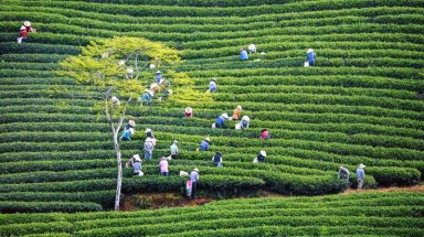 Ứng xử đúng mực với thiên nhiên: Để không phải xin lỗi thế hệ tương lai