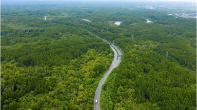 Ramsar trong lòng TP HCM: Độc đáo nhưng thách thức lớn!