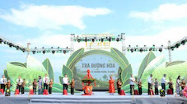 Xây dựng “Vùng chè di sản” gắn với truyền thống của Đường Hoa