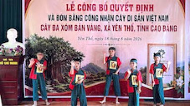 Cao Bằng: Công nhận cây Đa xóm Bản Vàng, xã Yên Thổ là Cây Di sản Việt Nam