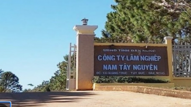 Kiến nghị xử lý nhiều vi phạm tại Công ty Lâm nghiệp Nam Tây Nguyên