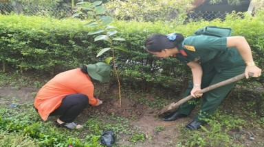 Đảm bảo trồng đủ số lượng cây xanh trên địa bàn tỉnh Hậu Giang