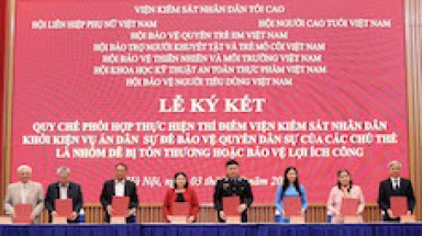   Tạo cơ chế bảo vệ quyền dân sự của các chủ thể dễ bị tổn thương và bảo vệ lợi ích công