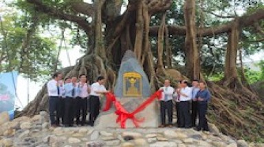 Hội đồng Cây Di sản hoạt động rất tích cực và hiệu quả cao, là tấm gương sáng của VACNE