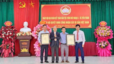 Ba cây Bồ đề ở thôn Khê Ngoại 5 được công nhận là Cây Di sản Việt Nam