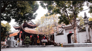   Hơn 40 cây cổ thụ của 8 tỉnh, thành phố lọt vào danh sách Cây Di sản Việt Nam