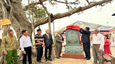 Hưng Yên: Lễ công bố cây Ruối 750 năm và cây Đa “Lá cờ” xã Diên Hà trở thành Cây Di sản Việt Nam