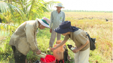 Khi phụ nữ nông thôn trở thành “người gác trời”