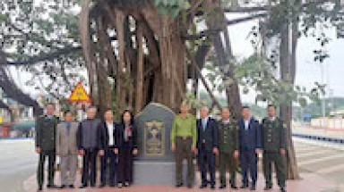 Hai cây đa cổ thụ xã Sơn Dương (Tuyên Quang) được công nhận là Cây Di sản Việt Nam