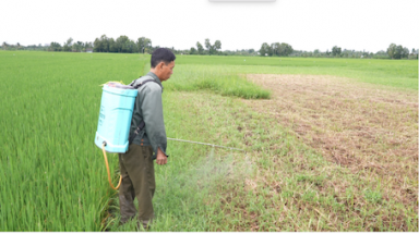  Khi nông dân làm chủ “công nghệ” xanh