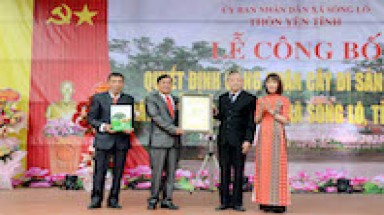 Cụ Đa Ba Cội – hồn làng Yên Tĩnh được ghi danh Cây Di sản Việt Nam