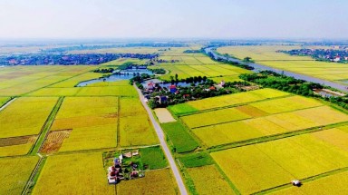 Cần sớm giải quyết tình trạng người dân thiếu đất sản xuất