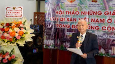  Bảo tồn và phát huy giá trị Cây Di sản Việt Nam ở Hải Phòng