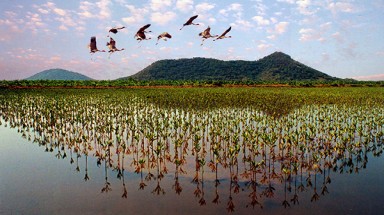 Diễn đàn về quản lý Khu dự trữ sinh quyển thế giới Kiên Giang