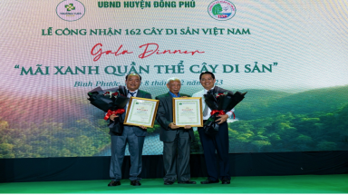 Đoàn đại biểu của Hội BVTN&MT Việt Nam tham  dự Gala “Mãi Xanh Quần thể Cây Di sản”