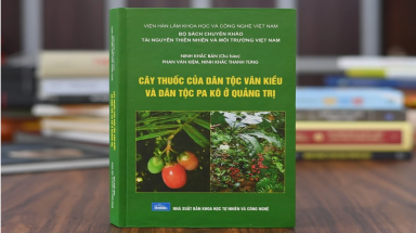  Những cây thuốc quý của đồng bào dân tộc thiểu số ở Quảng Trị